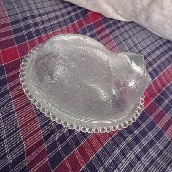 Pet glass dish bowl - Picture 5 of 11